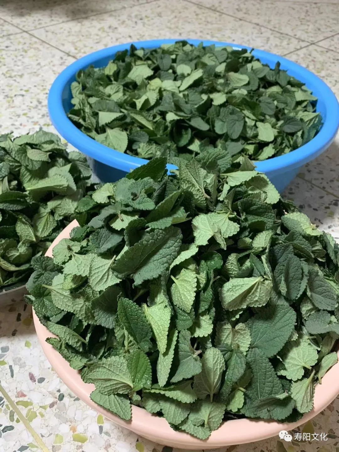 620ed21144a2d81f3169d7c6007fbfab_640_wx_fmt=jpeg&wxfrom=5&wx_lazy=1&wx_co=1 620ed21144a2d81f3169d7c6007fbfab_640_wx_fmt=jpeg&wxfrom=5&wx_lazy=1&wx_co=1.jpg