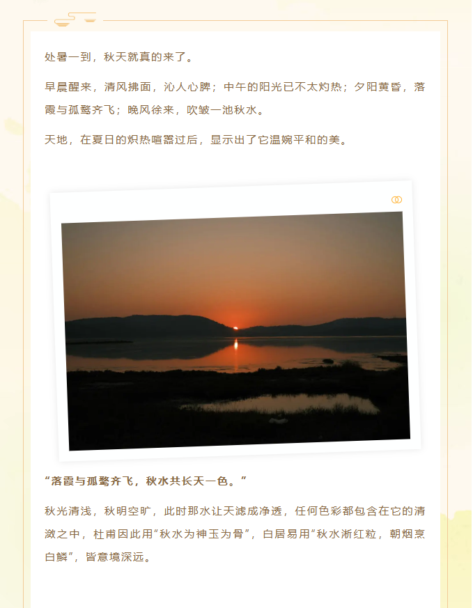 image.png?v=1757830624148