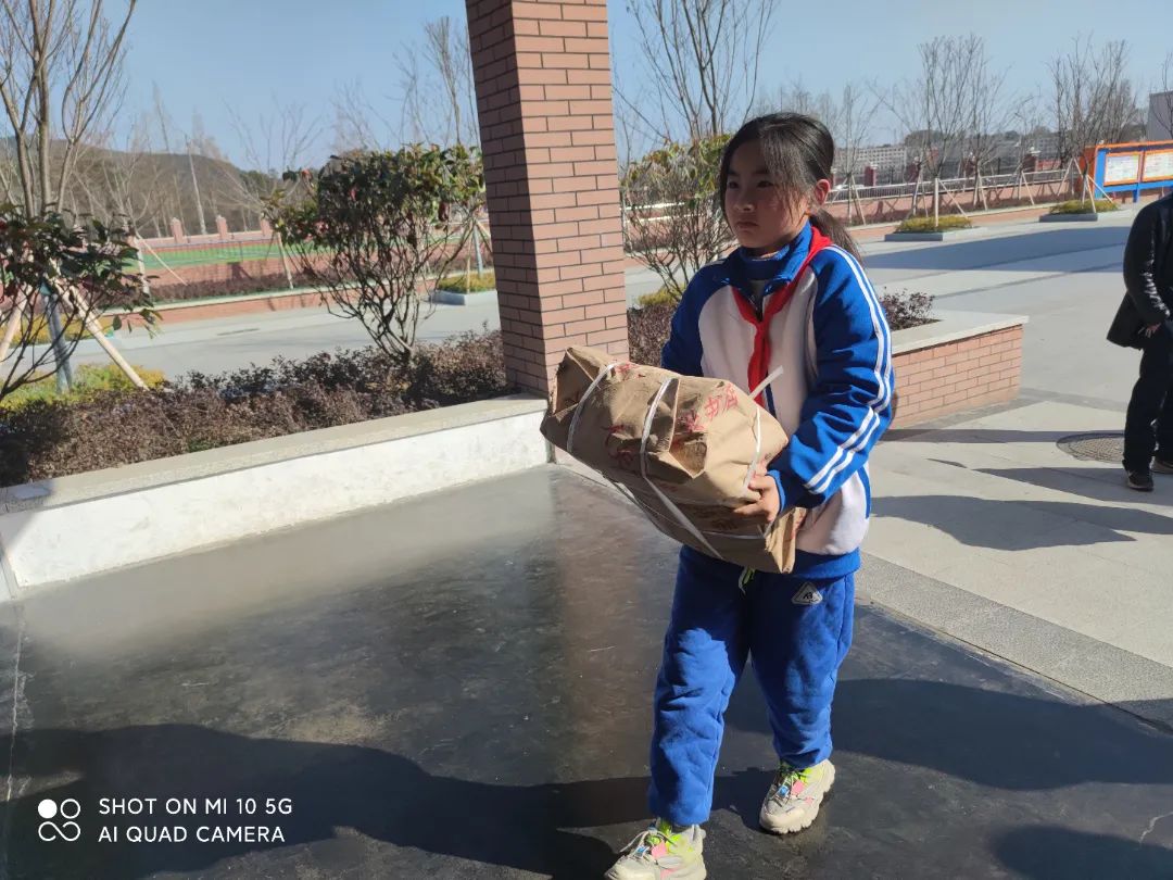 0 (6) 0 (6).jpg?v=1773708685676