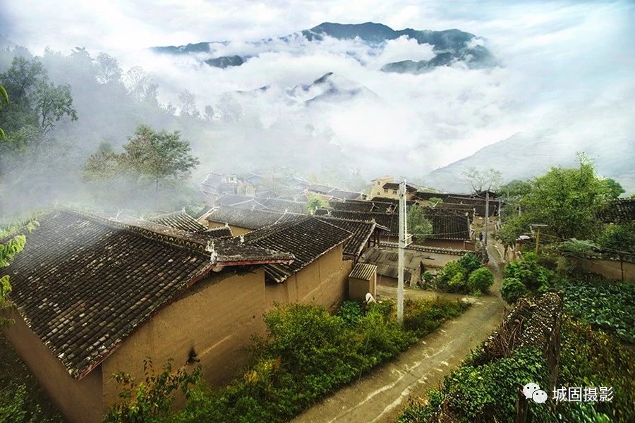 15 15.jpg?v=1765879816335