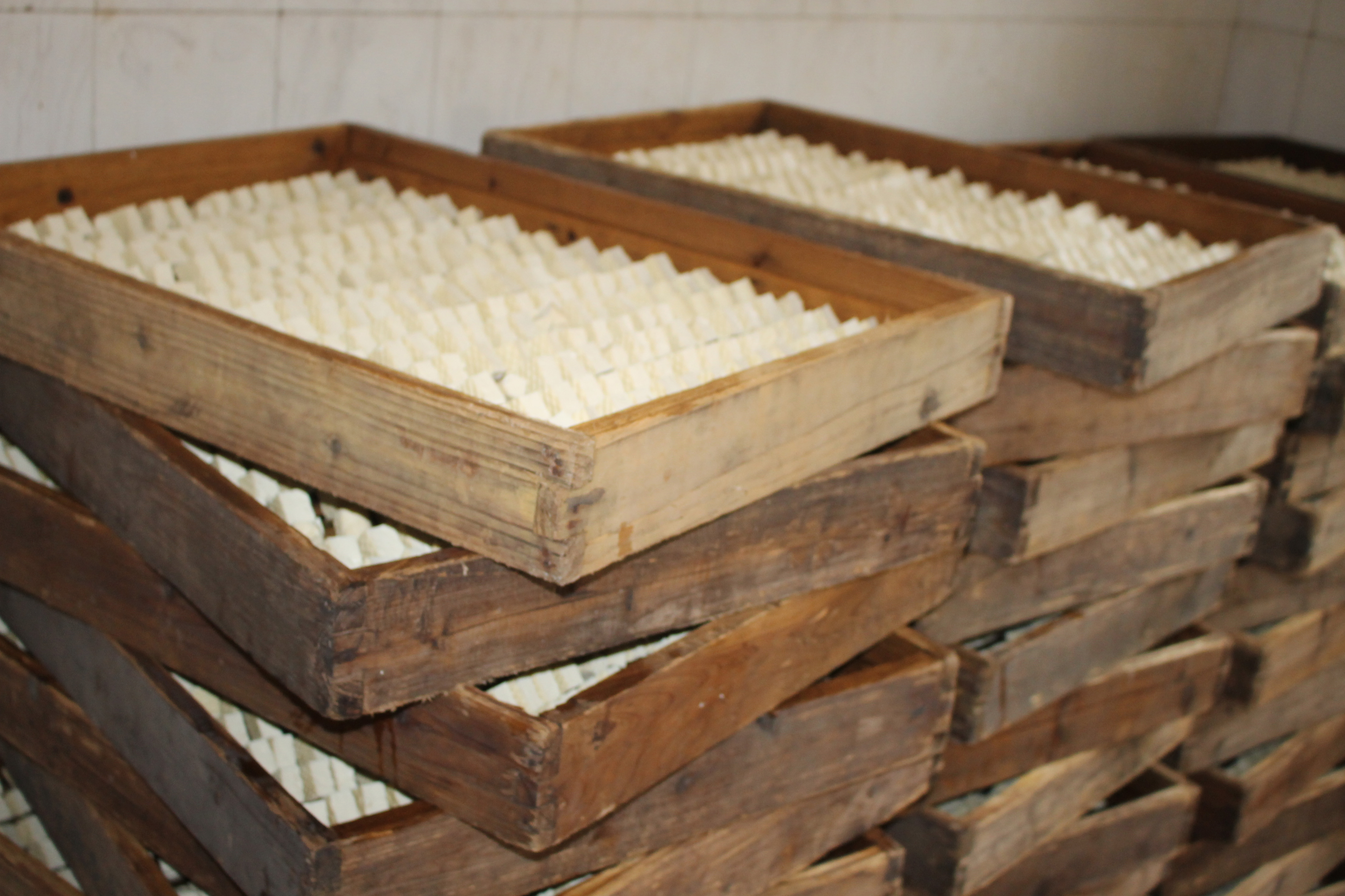 33333333333333333333333333333 33333333333333333333333333333.jpg