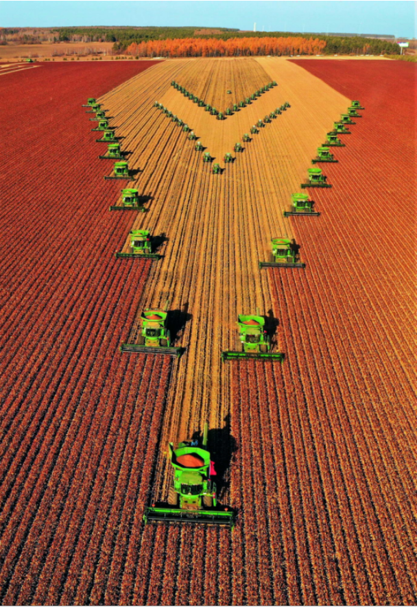 图片 图片.png?v=1762140392428