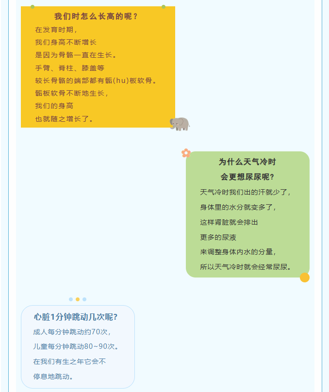 image.png?v=1787518945203