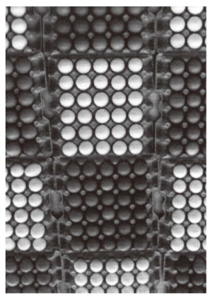 pagenumber_ebook=45,pagenumber_book=38