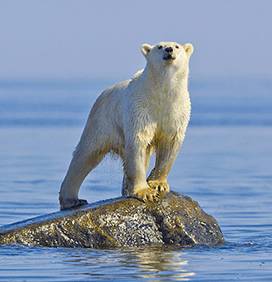 1 1.jpg?v=1766050234635