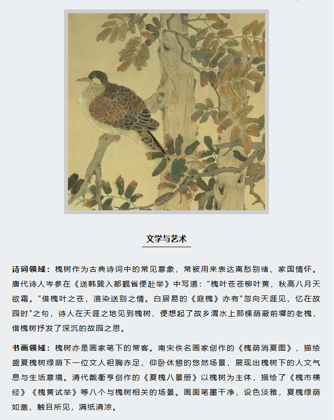 image.png?v=1766278387980