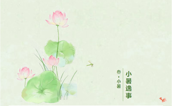 image.png?v=1751535304656