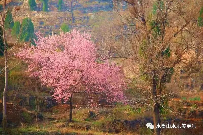 微信图片_20210404214004