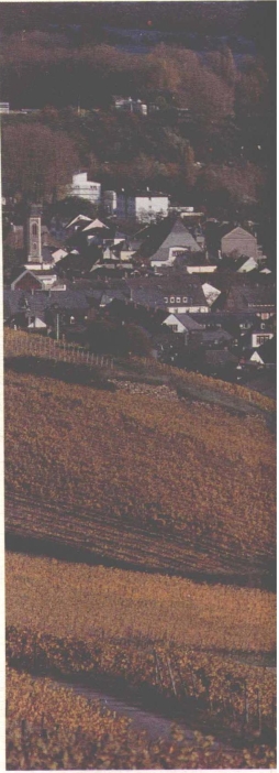 pagenumber_ebook=171,pagenumber_book=163