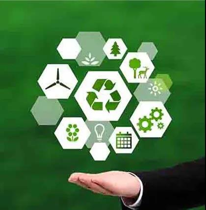 2 2.jpg?v=1762323772166