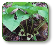 pagenumber_ebook=23,pagenumber_book=10