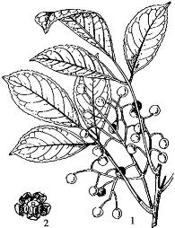 pagenumber_ebook=81,pagenumber_book=81