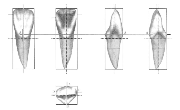 pagenumber_ebook=181,pagenumber_book=172