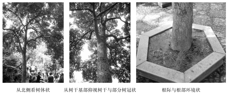 pagenumber_ebook=113,pagenumber_book=113