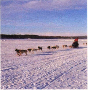 pagenumber_ebook=208,pagenumber_book=199