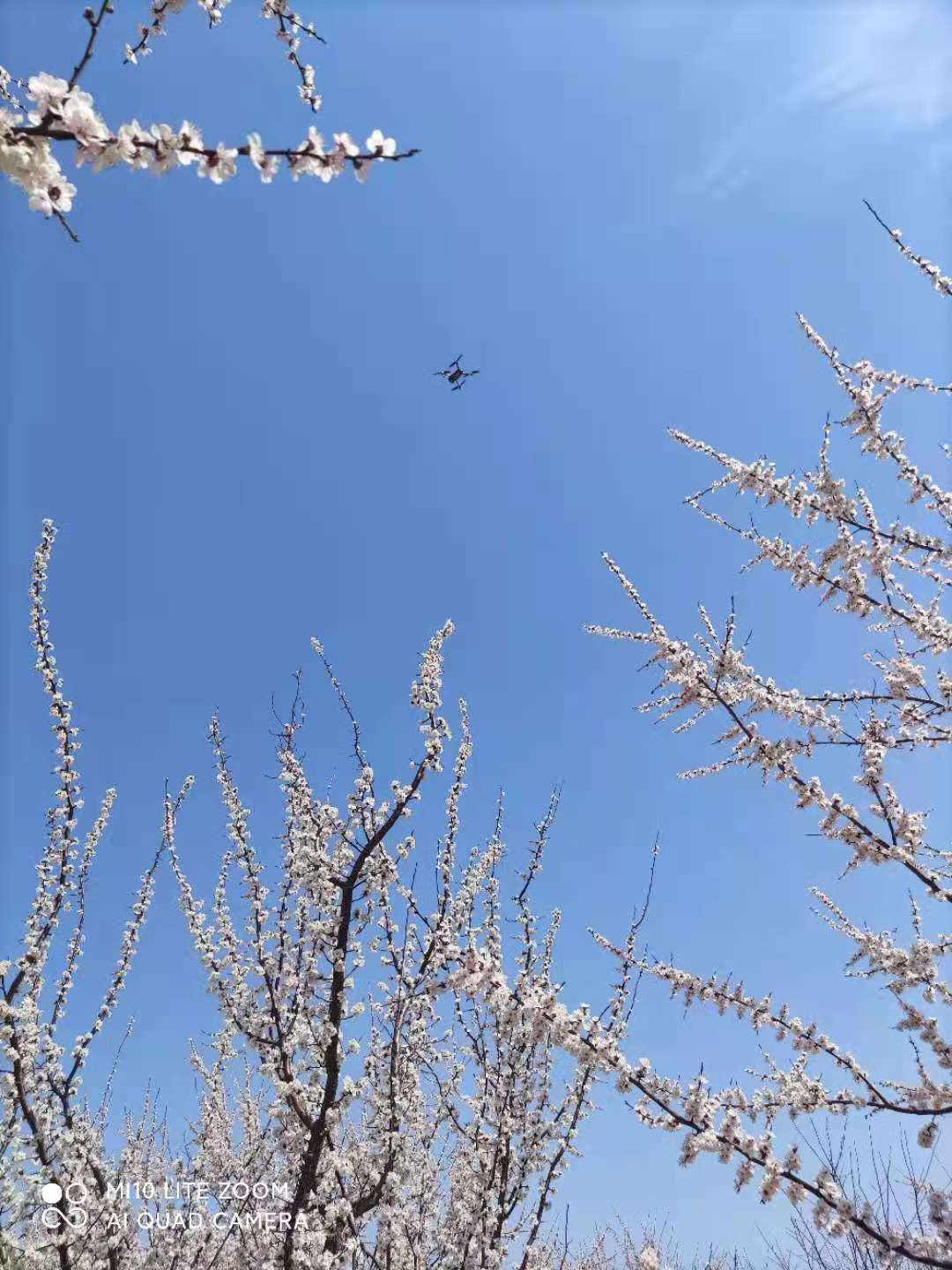 f62661c9804e6f9de715295bda7a467 f62661c9804e6f9de715295bda7a467.jpg