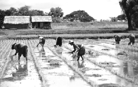 pagenumber_ebook=73,pagenumber_book=73