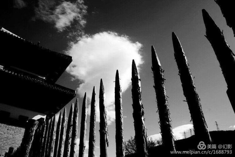 f15f8db9856d4cdcb029e3482e729fba.jpg?v=1762511678176