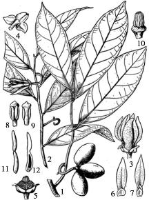 pagenumber_ebook=181,pagenumber_book=181