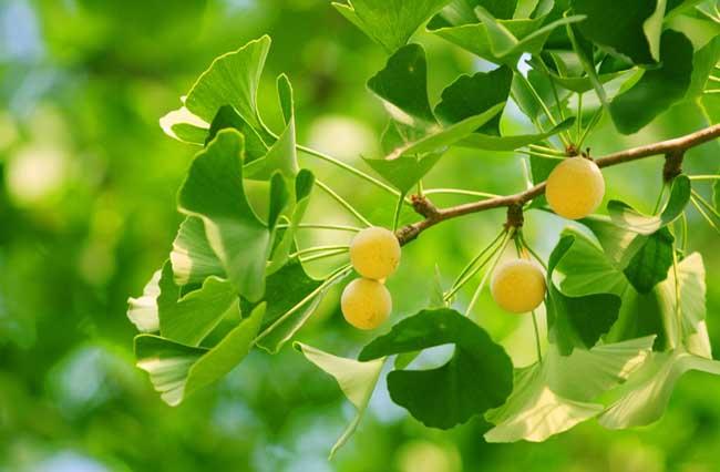 77cb7519f1c2ecaba5377351acf3b67