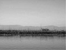 pagenumber_ebook=112,pagenumber_book=102