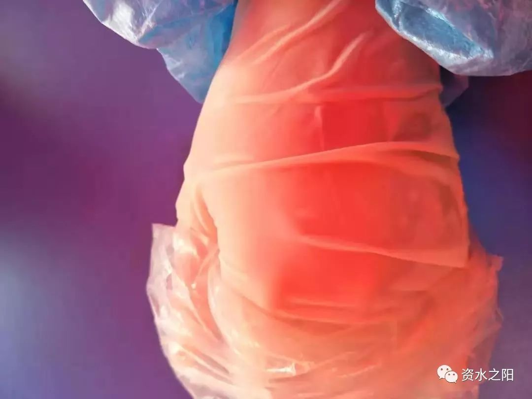 12 12.jpg?v=1765898154882