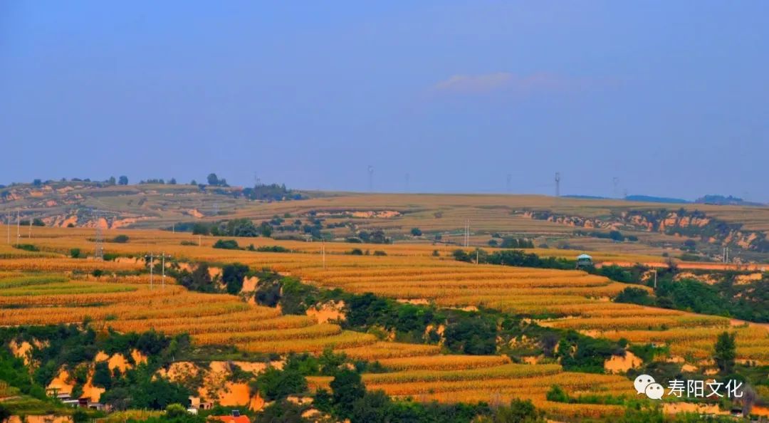 微信图片_20221027105423