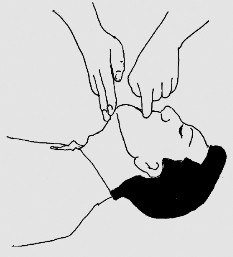 pagenumber_ebook=50,pagenumber_book=37