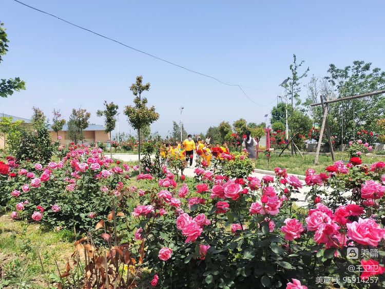 c45a7b8735441c915b06118ba4b0845c