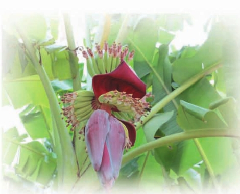 pagenumber_ebook=252,pagenumber_book=236