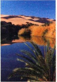 pagenumber_ebook=167,pagenumber_book=158