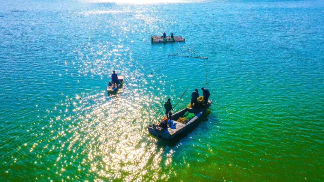 微信图片_20200929085318 微信图片_20200929085318.jpg