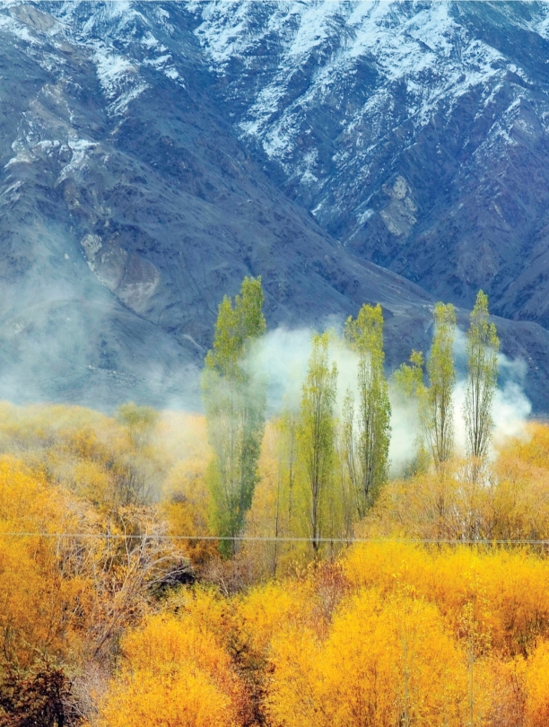 pagenumber_ebook=39,pagenumber_book=28