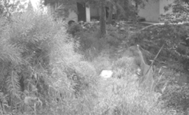 pagenumber_ebook=54,pagenumber_book=44