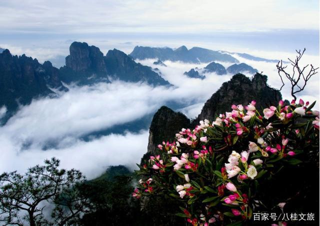 9d82d158ccbf6c817552cfd2c64fd43033fa401e 9d82d158ccbf6c817552cfd2c64fd43033fa401e.jpg