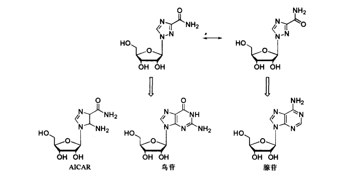 pagenumber_ebook=304,pagenumber_book=286
