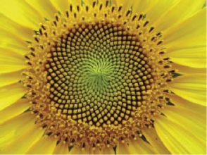 pagenumber_ebook=100,pagenumber_book=92