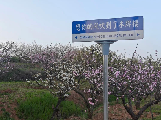 1712371394785 1712371394785.png