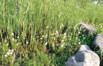 pagenumber_ebook=150,pagenumber_book=142