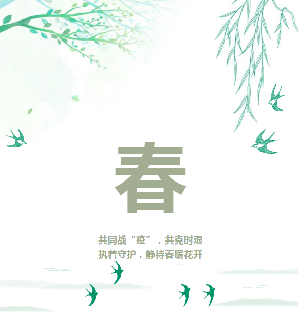 image image.png?v=1784605719266