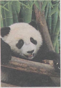 pagenumber_ebook=174,pagenumber_book=160