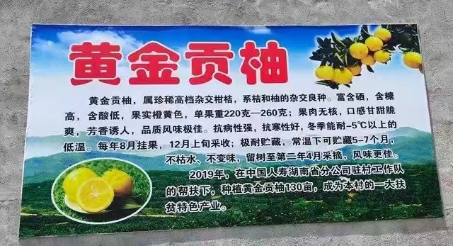 图片17 图片17.png