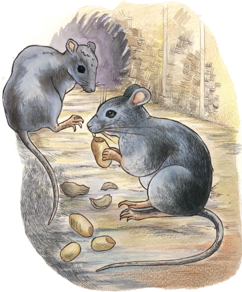 pagenumber_ebook=11,pagenumber_book=9