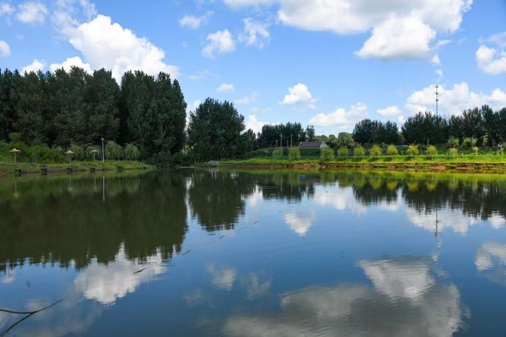 c059b8610811efc236b0e815a234cd7 c059b8610811efc236b0e815a234cd7.jpg