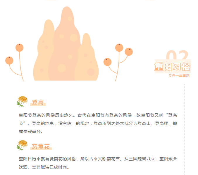 image.png?v=1750228987743