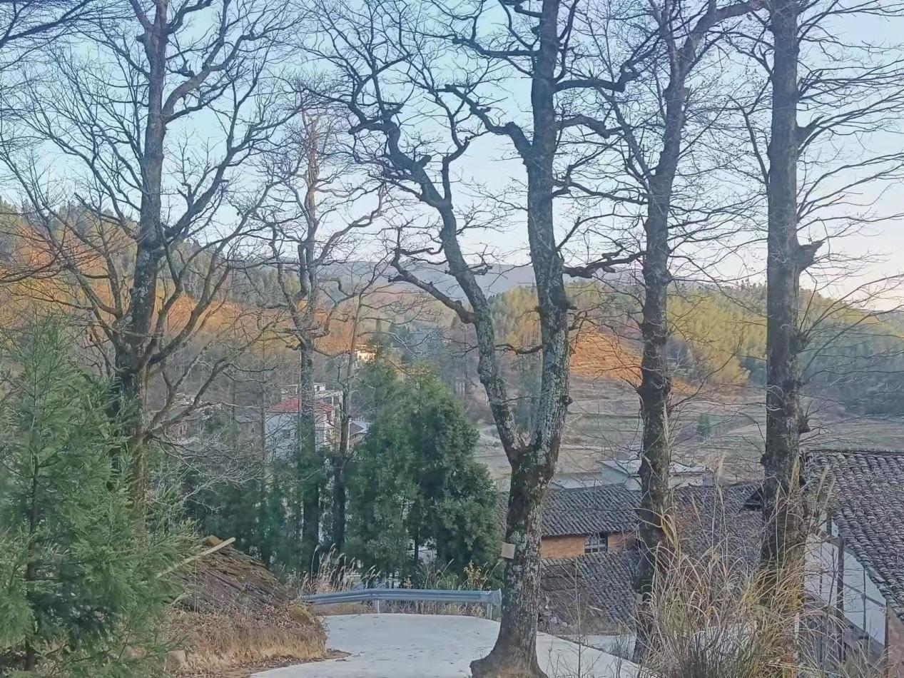 image49 image49.jpeg