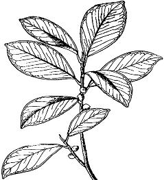 pagenumber_ebook=91,pagenumber_book=91