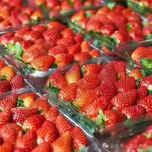 微信图片_20250206091114 微信图片_20250206091114.jpg