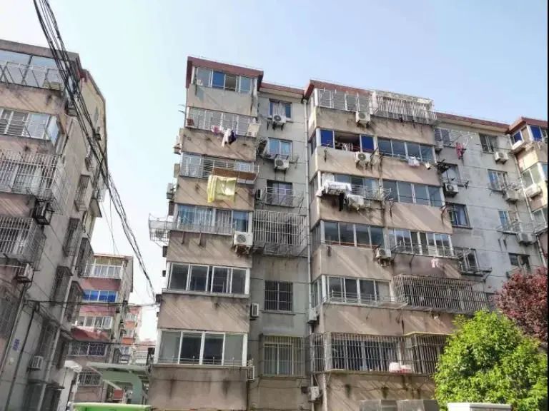 11 11.jpg?v=1765880799049