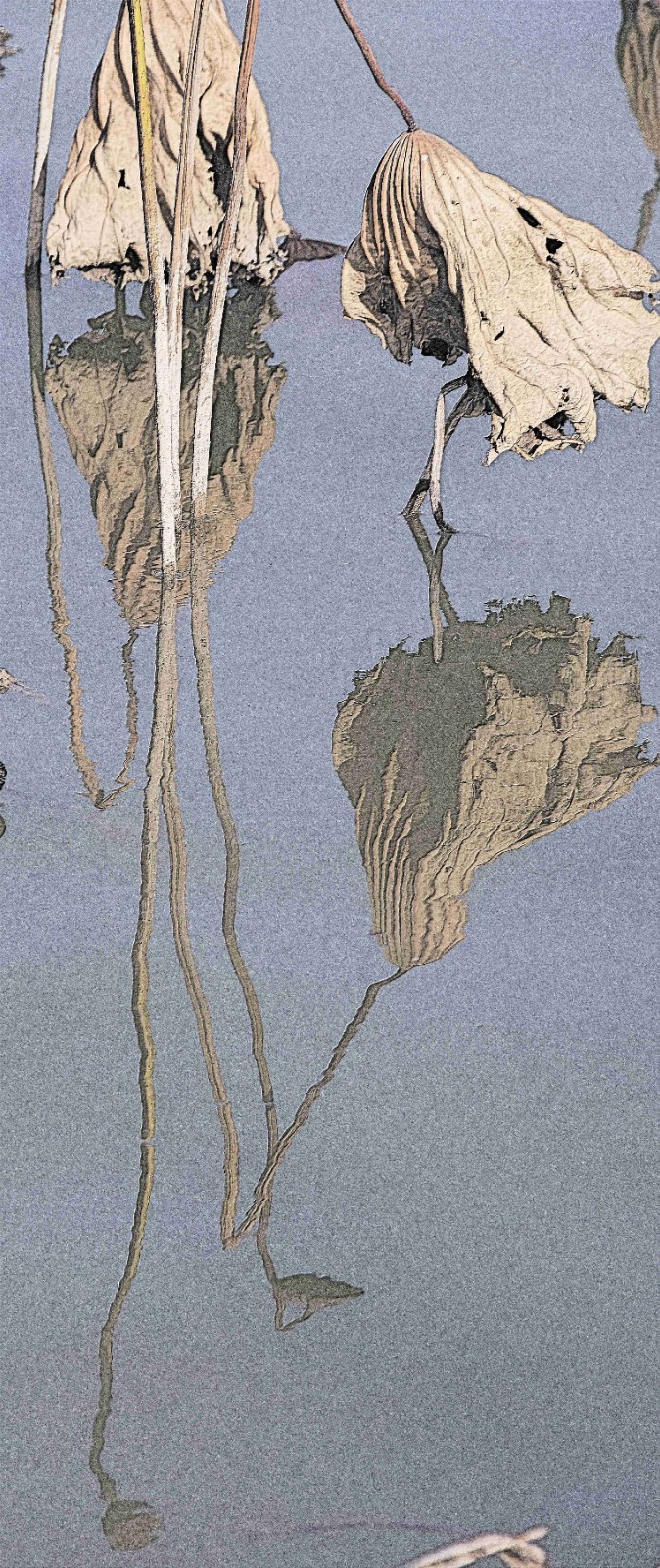 清气依旧雕铁骨 王祥领 (2)